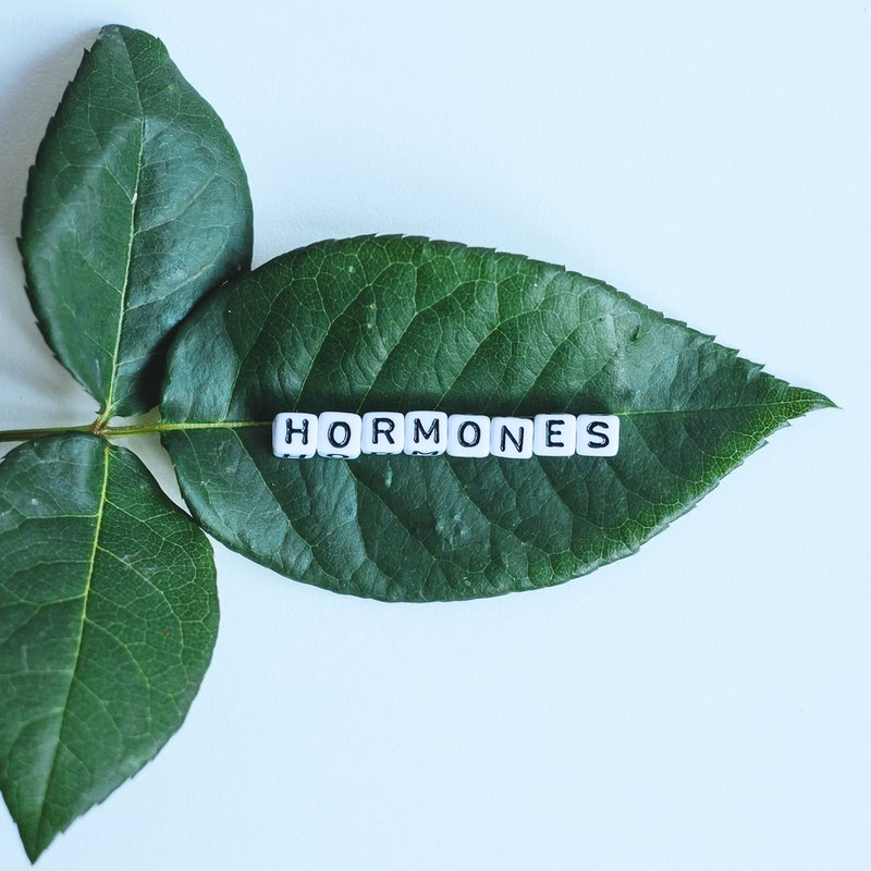 Green leaves with the word Hormones