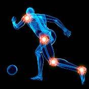 Locomotor Apparatus