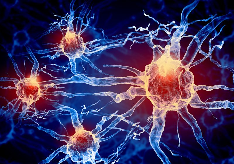 Illustration of neurons