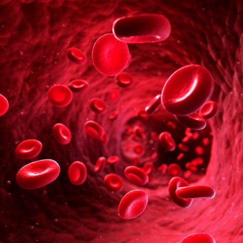 Red blood cells