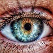 Vision