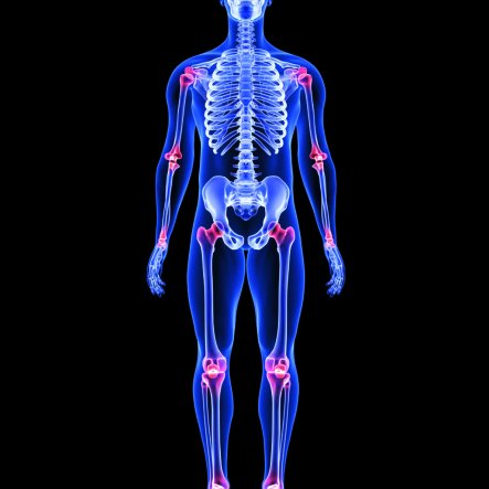 3D body scan with joints highlighted
