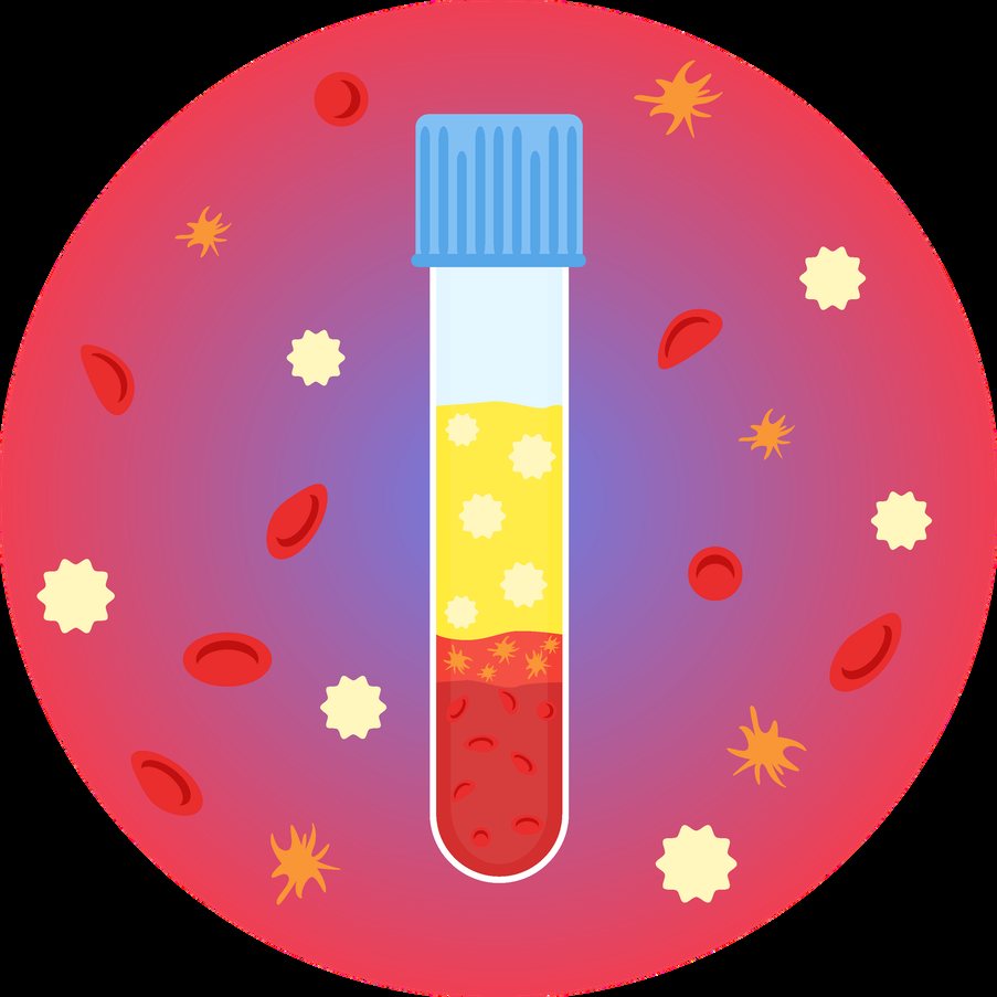 Tube of separated blood: platelet-rich plasma above red blood cells
