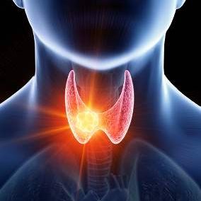 Thyroid
