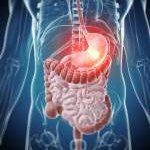 Stomach/Mucous
