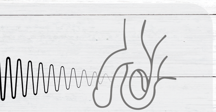 Focused Pulsewave Technology diagram